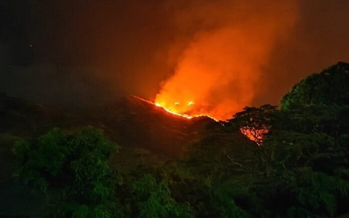 parque1-1079x670-a8df2f