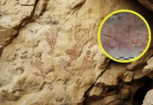 ¿Qué sabemos de la misteriosa civilización prehistórica que creó las pinturas y grabados rupestres de Canaima, Venezuela?