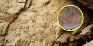 ¿Qué sabemos de la misteriosa civilización prehistórica que creó las pinturas y grabados rupestres de Canaima, Venezuela?